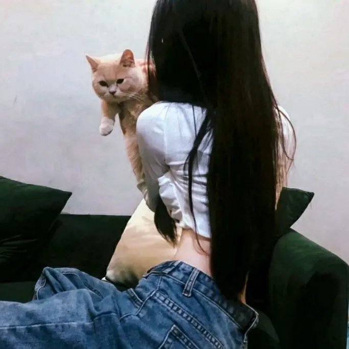 揭竿而起